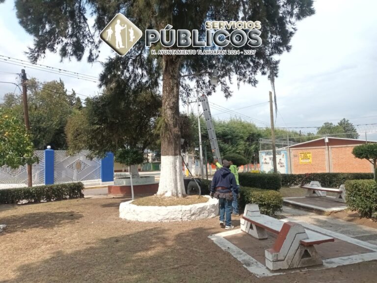 Iluminando nuestro municipio