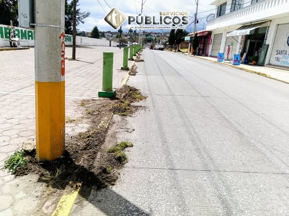 Seguimos trabajando por un municipio limpio (#152)