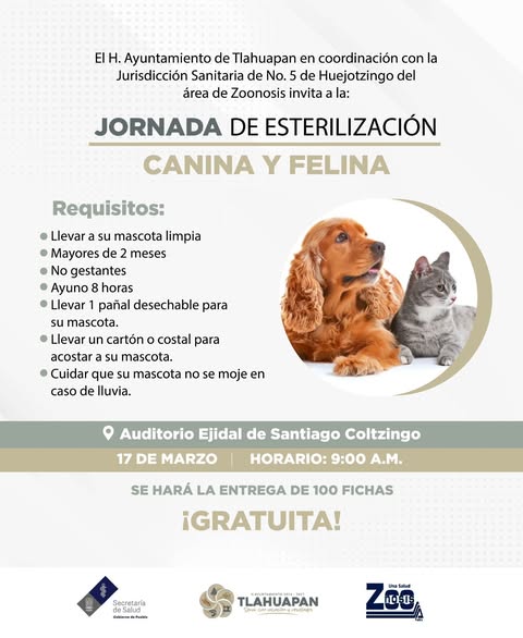 El H. Ayuntamiento de Tlahuapan te invita a partic (#187)