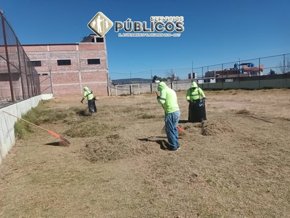 La brigada de Parques y Jardines realizó el corte  (#214)