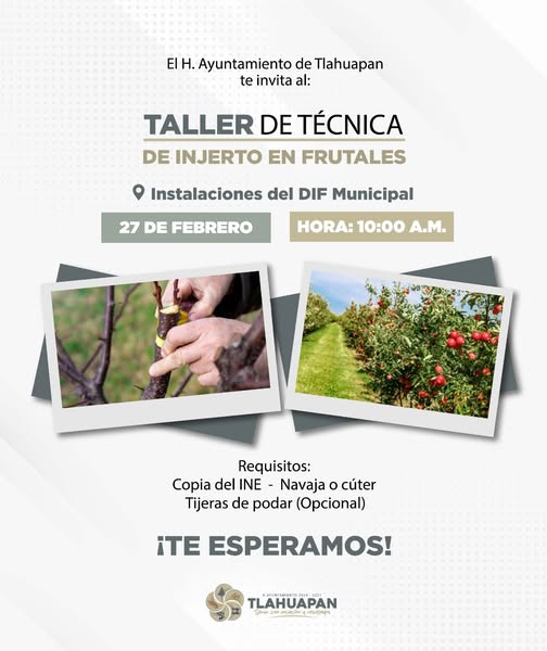 Recuerda que mañana te esperamos en el Taller de T (#226)
