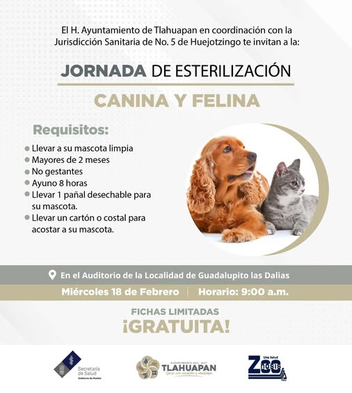Mañana 18 de febrero a las 9:00 am los esperamos e (#244)
