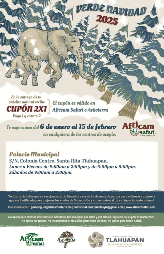 ¡Llegó el momento de donar tu árbol de Navidad nat (#298)