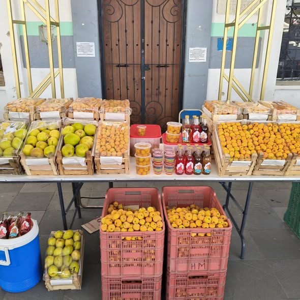 Tlahuapan presente en la XVII Feria del Tejocote 2 (#373)