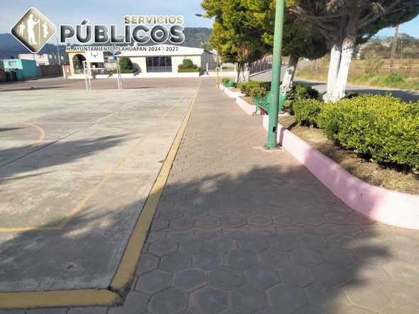 La brigada de Parques y Jardines realizó el corte  (#384)
