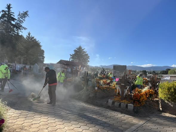 El día de hoy, la brigada de Parques y Jardines de (#396)